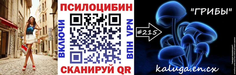 Псилоцибиновые грибы Cubensis  Суоярви 